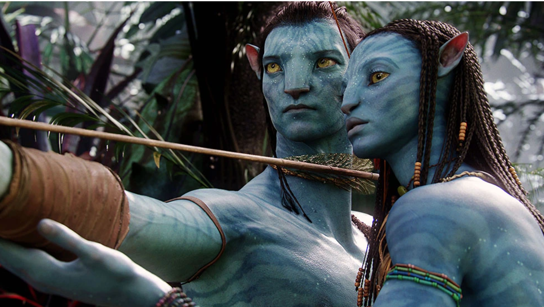 A still from "Avatar" (2009)